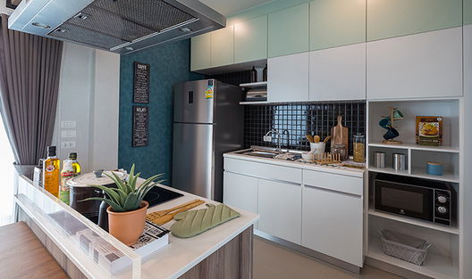 รูป Supalai Primo Ayutthaya - รูปที่ 4/13