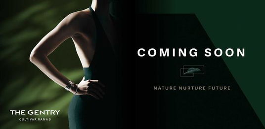 THE GENTRY CULTIVAR RAMA 9