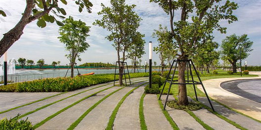 รูป Lake Forest New Ratchaphruek Road - รูปที่ 2/13