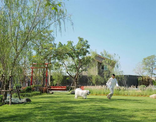 รูป Anasiri Tiwanon-Srisaman - รูปที่ 4/13