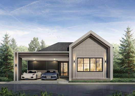 Project The Estiro Picture - 2/13