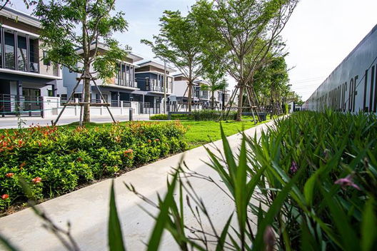 Project Baanfah Greenery Loft Pattaya Picture - 5/10