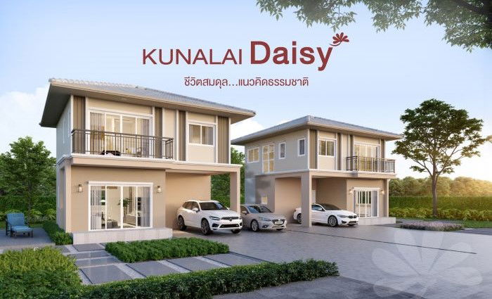 Project Kunalai Daisy Picture - 1/13