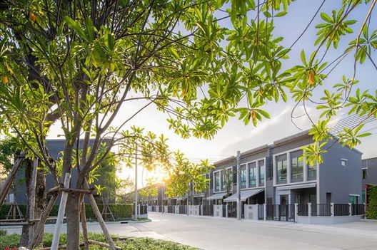 รูป Pleno Suksawat 70 - รูปที่ 2/13