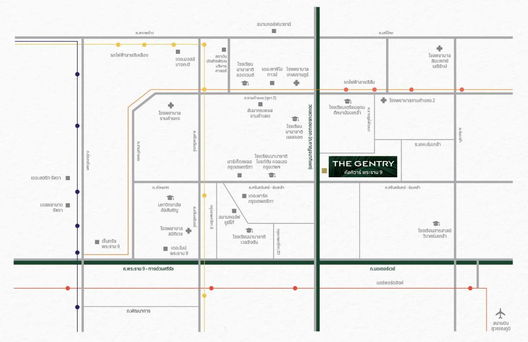 รูป THE GENTRY CULTIVAR RAMA 9 - รูปที่ 3/5