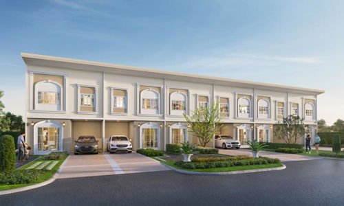 ไลโอ ชัยพฤกษ์-ไทรน้อย