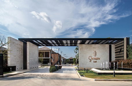 ออกซิเจน ลีฟ