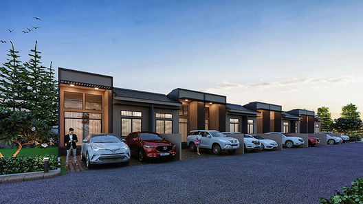 รูป Canna Rong Po - รูปที่ 2/8