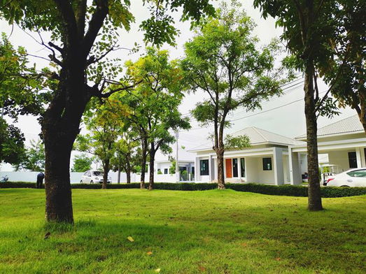 รูป living Sense 1 - รูปที่ 5/12