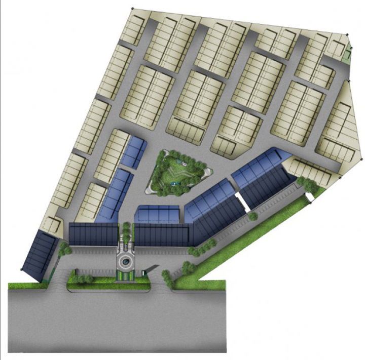 รูป Fern - รูปที่ 1/13