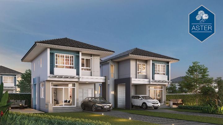 Project Trendy Tara Bangna Picture - 1/5