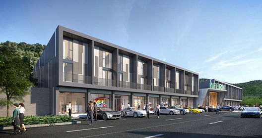 รูป Fern - รูปที่ 3/13