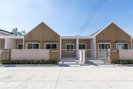 พีนัท ปลวกแดง