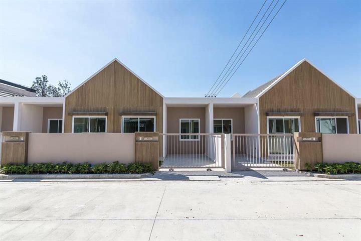 รูป Peanut Pluak Daeng - รูปที่ 1/3