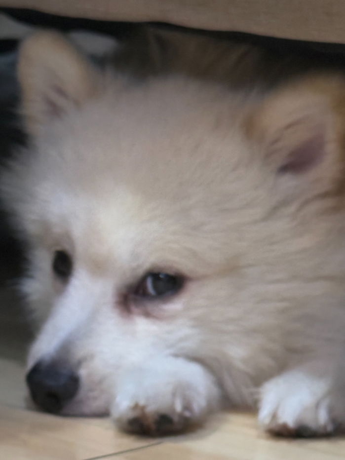 รูป Test Create Listing For Report - รูปที่ 1/4