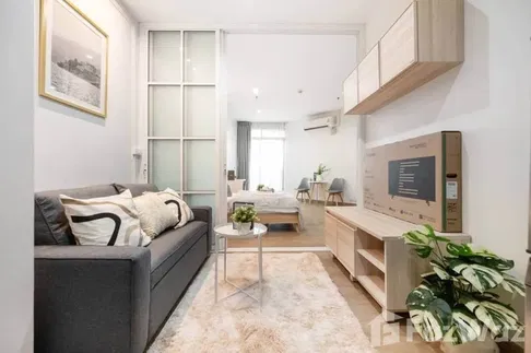 Newly Renovate