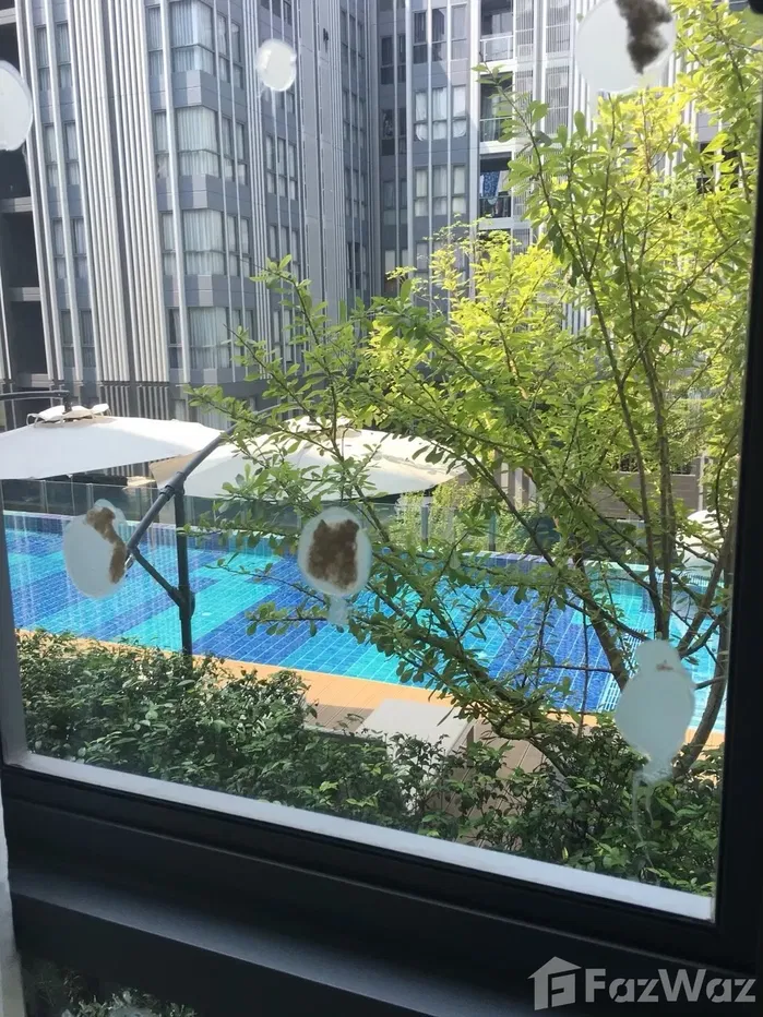 picture 1 Bedroom Condo for sale at Moniiq Sukhumvit 64 - 11/11