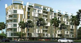 Project Beverly 33 Picture - 5/5