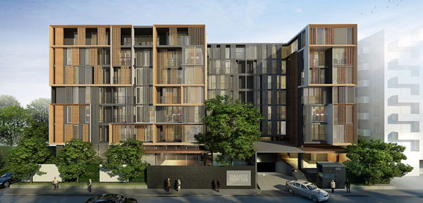 รูป Siamese Thirty Nine - รูปที่ 1/20