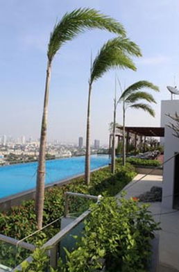 รูป Ideo Mix Sukhumvit 103 - รูปที่ 4/12