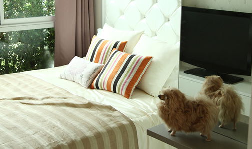 เมโทร ลักซ์ ริเวอร์ฟรอนท์ รัตนาธิเบศร์