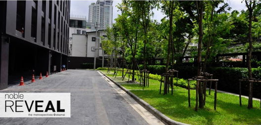 รูป Noble Reveal - รูปที่ 5/6