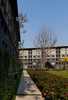 รูป D Condo Campus Resort Chiangmai - รูปที่ 5/13