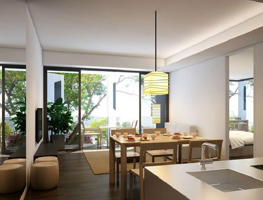 รูป Siamese Gioia - รูปที่ 2/10