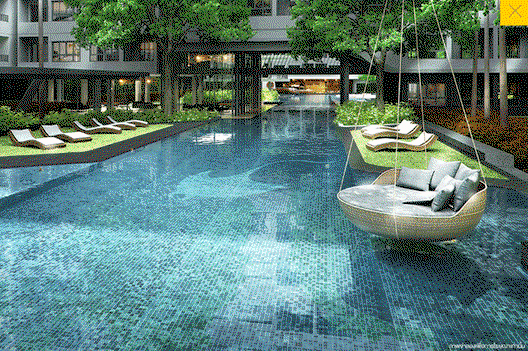 รูป Elio Del Ray - รูปที่ 2/8