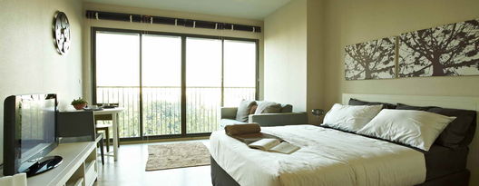 รูป Noble Solo - รูปที่ 5/17