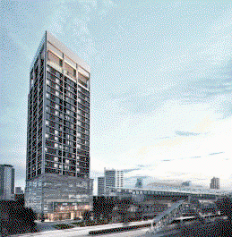 ดิ เอดิเตอร์ สะพานควาย