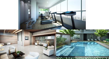 เดอะ ลีฟ