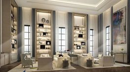 Project The Diplomat 39 Picture - 3/5