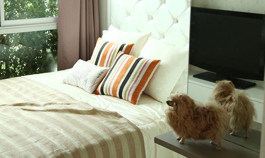 รูป Metro Luxe Kaset - รูปที่ 4/10