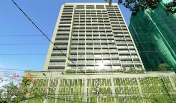 รูป Noble Solo - รูปที่ 2/17