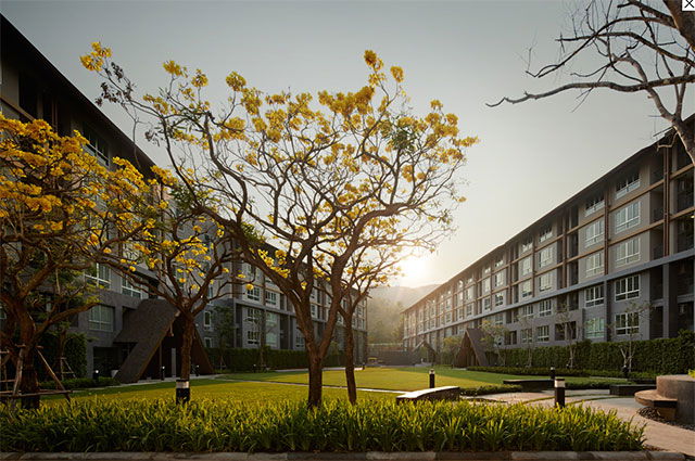 รูป D Condo Campus Resort Chiangmai - รูปที่ 1/13