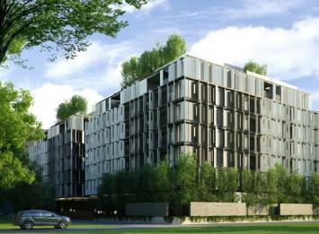 รูป Siamese Gioia - รูปที่ 1/10