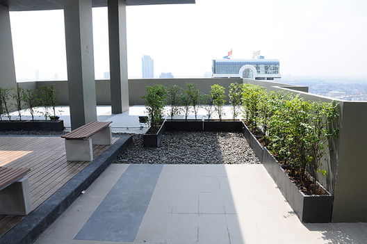 รูป Hive Taksin - รูปที่ 4/15