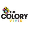 logo project The Colory Vivid