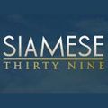 Siamese Thirty Nine