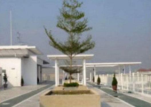 รูป The Wellington - รูปที่ 5/6