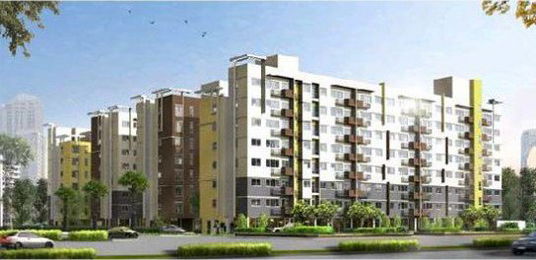 มายคอนโด ปิ่นเกล้า