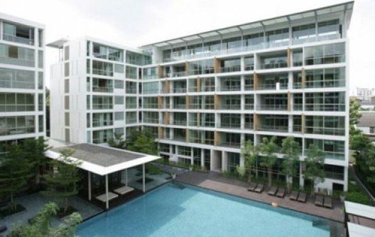 รูป Ficus Lane - รูปที่ 4/6