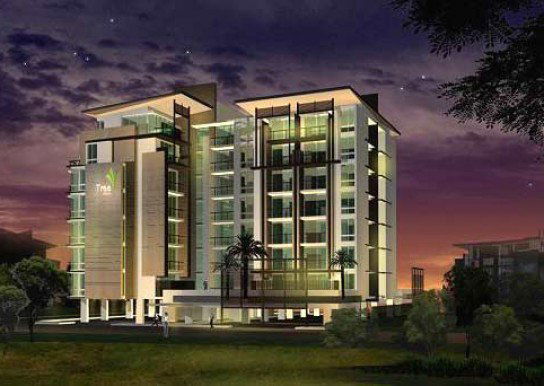 Project Tree Condo Sukhumvit 52 Picture - 1/1