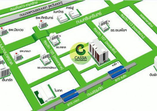 Project Cassia Picture - 3/5