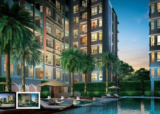 รูป Ivy Ratchada - รูปที่ 1/3