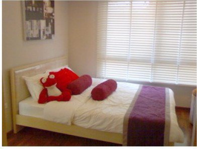 รูป Wilmore - รูปที่ 3/7