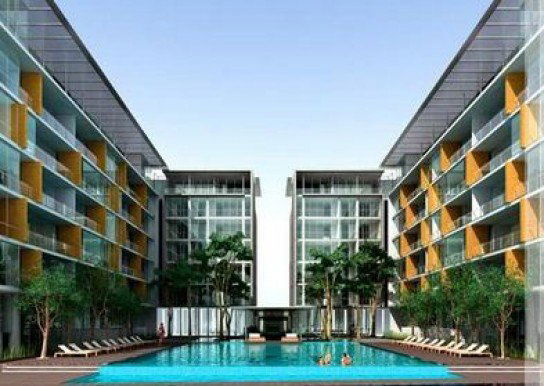 รูป Ficus Lane - รูปที่ 1/6