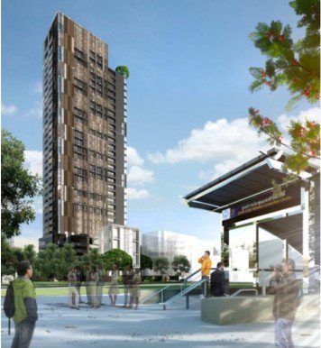 รูป Siamese Exclusive Queens - รูปที่ 2/7