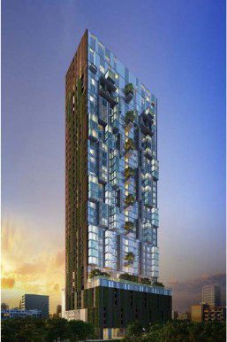 รูป Ashton Morph 38 - รูปที่ 1/5